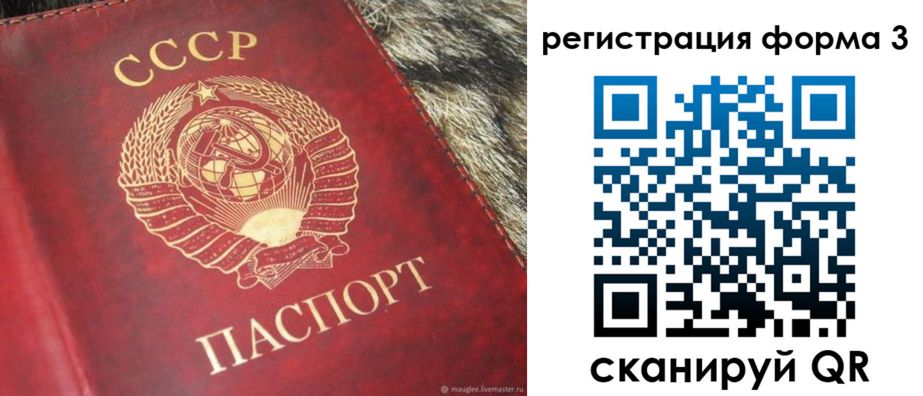 прописка регистрация в Козельске